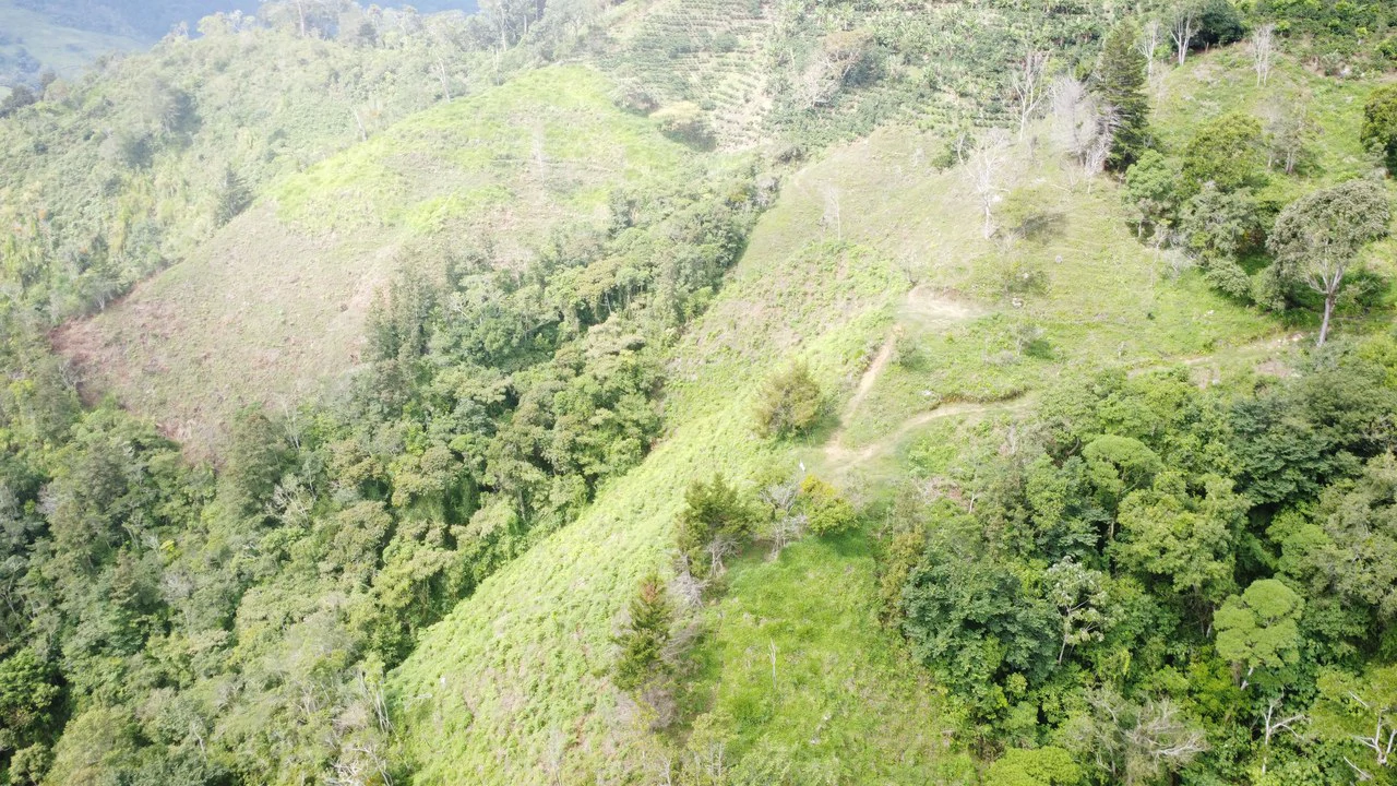 LOTE EN HERRADURA RIVAS.: Mountain Agricultural Land For Sale in San Isidro del General - Gallery image 13