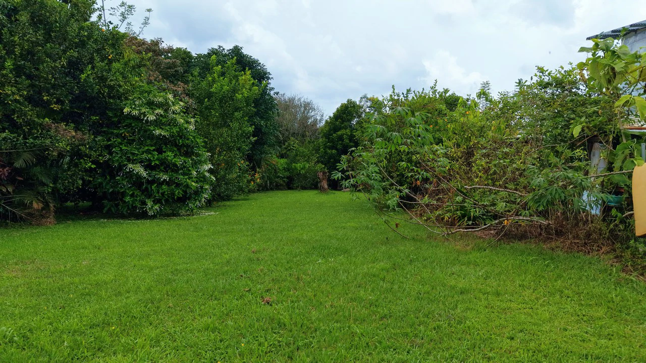 LOTE PLANO CON FRUTALES: Mountain Home Construction Site For Sale in General Viejo - Gallery image 2