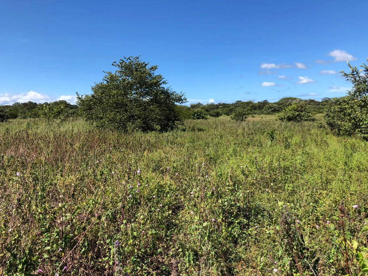 Property near the airport in Liberia – Strategic investment opportunity - Gallery image 7