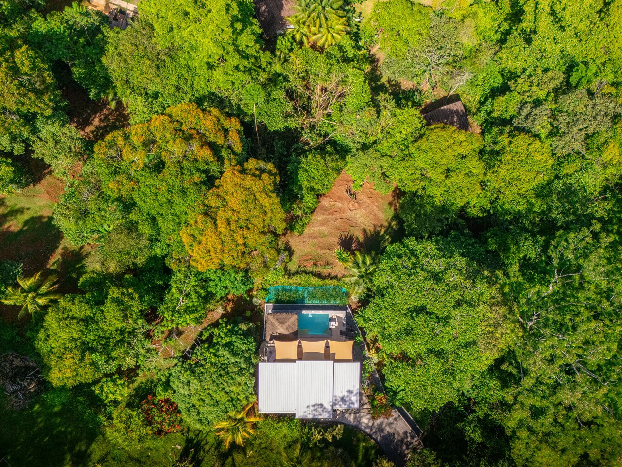 Casa Chiquita: Ocean View Retreat in the Heart of Ojochal – 3 Bed, 3 Bath with Pool, Fruit Trees & Prime Location - Gallery image 5