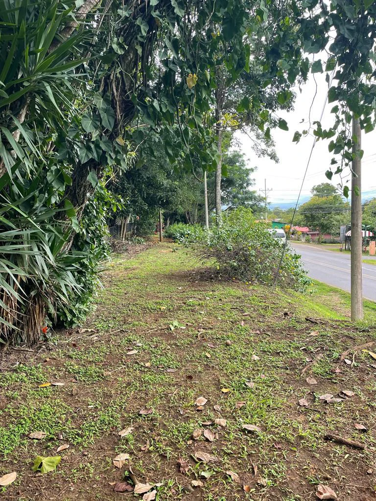 PROPIEDAD PARA INVERSION SABANA LARGA ATENAS: INVESTMENT PROPERTY - Gallery image 3