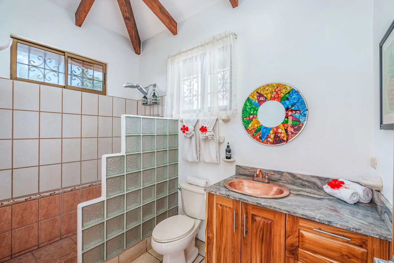 Iguana Villas #6: Upgraded, Furnished Villa Steps from Playa Blanca - Gallery image 30