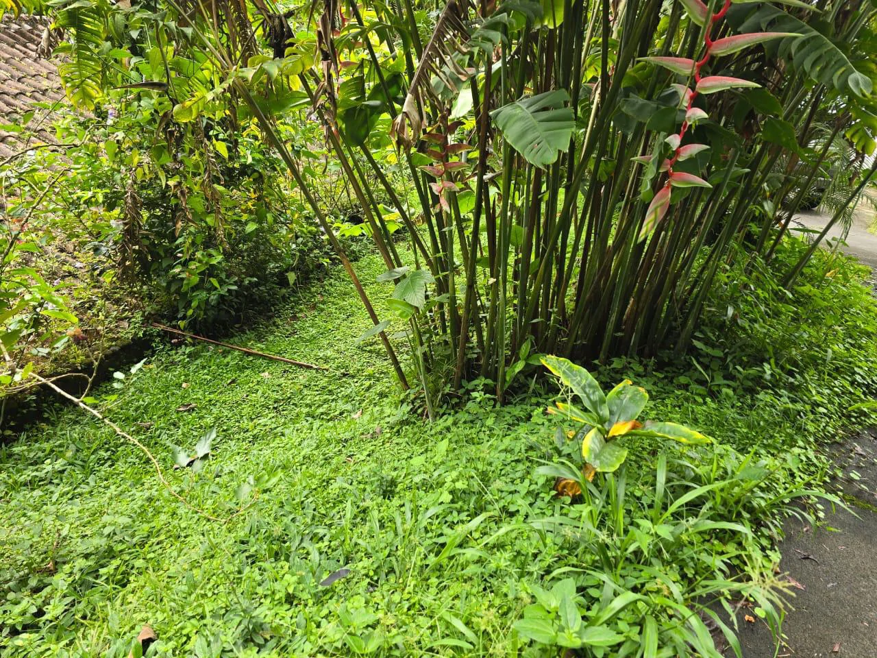 Exceptional Lakefront Estate with Two Homes in Arenal, Costa Rica - Gallery image 6