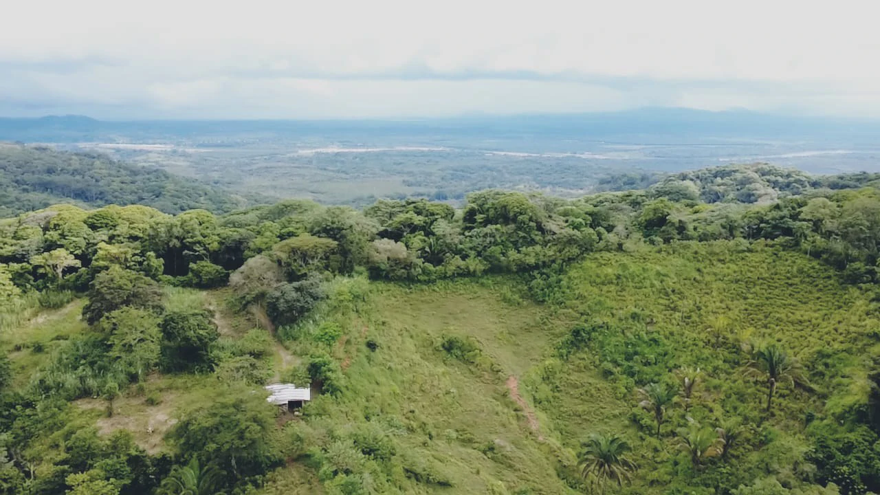 Near the Coast Home Construction Site For Sale in Osa - Gallery image 16