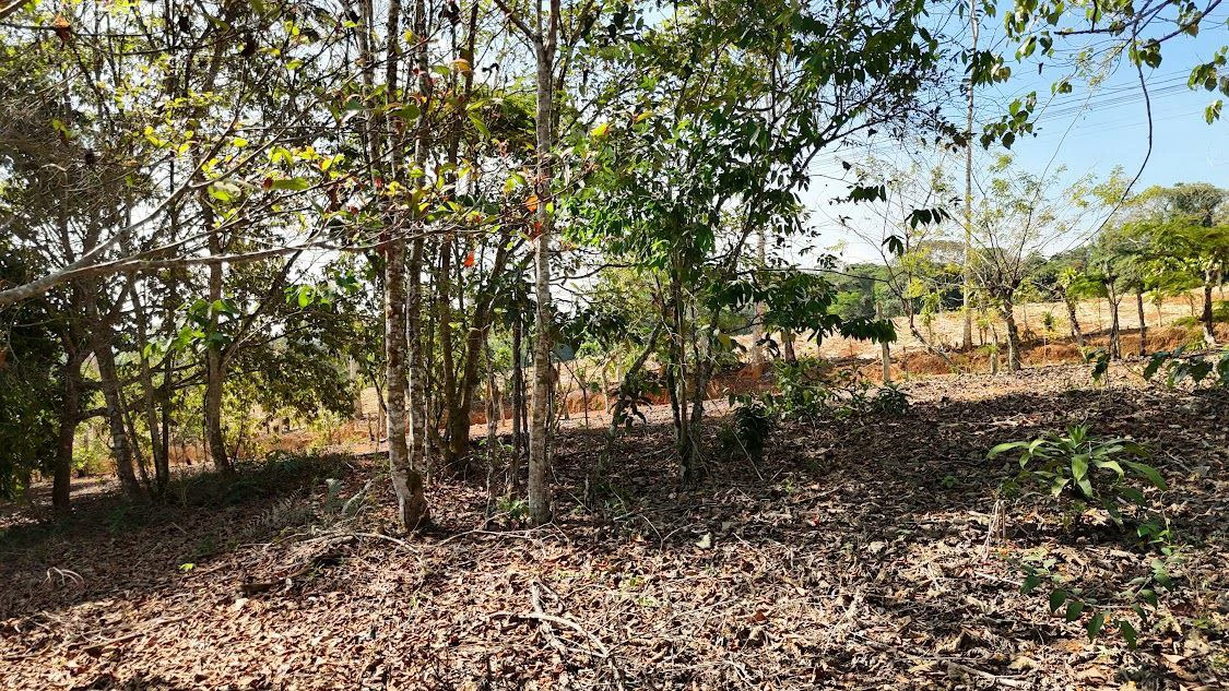Home Construction Site For Sale in La Ceniza - Gallery image 5