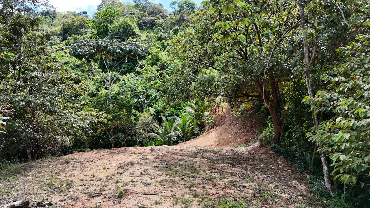 Stunning Ocean, Mountain, and Valley View Property in Tres Rios - Gallery image 17
