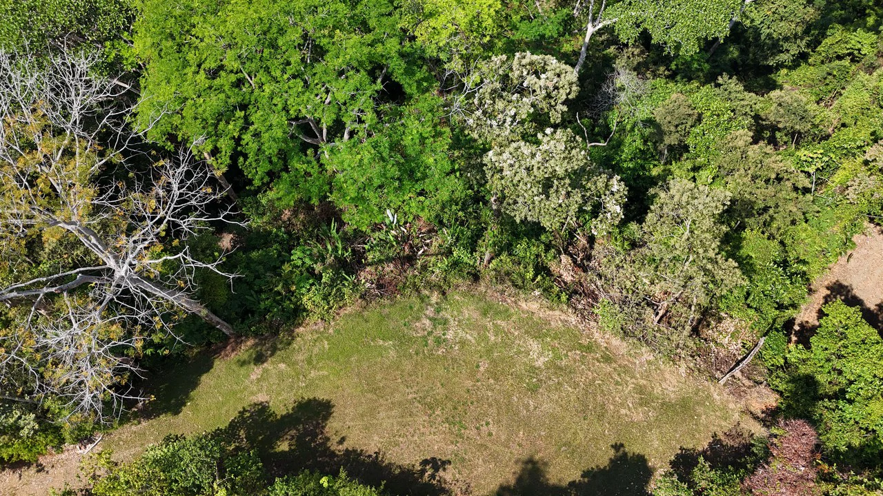 The Crown Jewel Ocean View Lot Hatillo - Gallery image 6