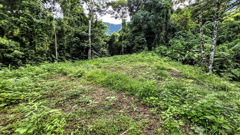 Waterfall Estate, Dos Bocas, Dominical Featuring Twin Waterfalls, Springs, Creeks & Rivers - Gallery image 31