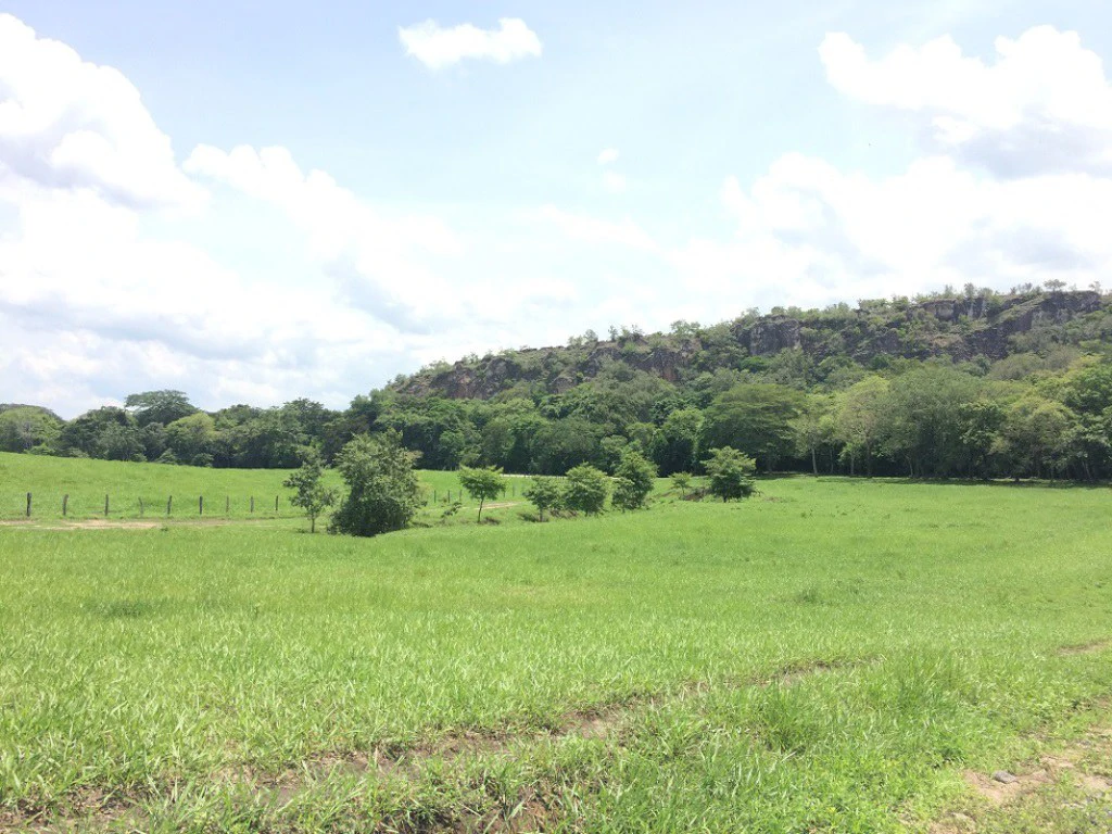 Propiedad de 79 hectáreas: Property of 79 hectares, located in Canas Dulces Liberia. - Gallery image 12