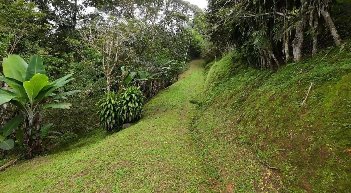 LOTE EN VENTA ALTO SAN JUAN, COSTA RICA: Mountain Home Construction Site For Sale in Barú - Gallery image 8