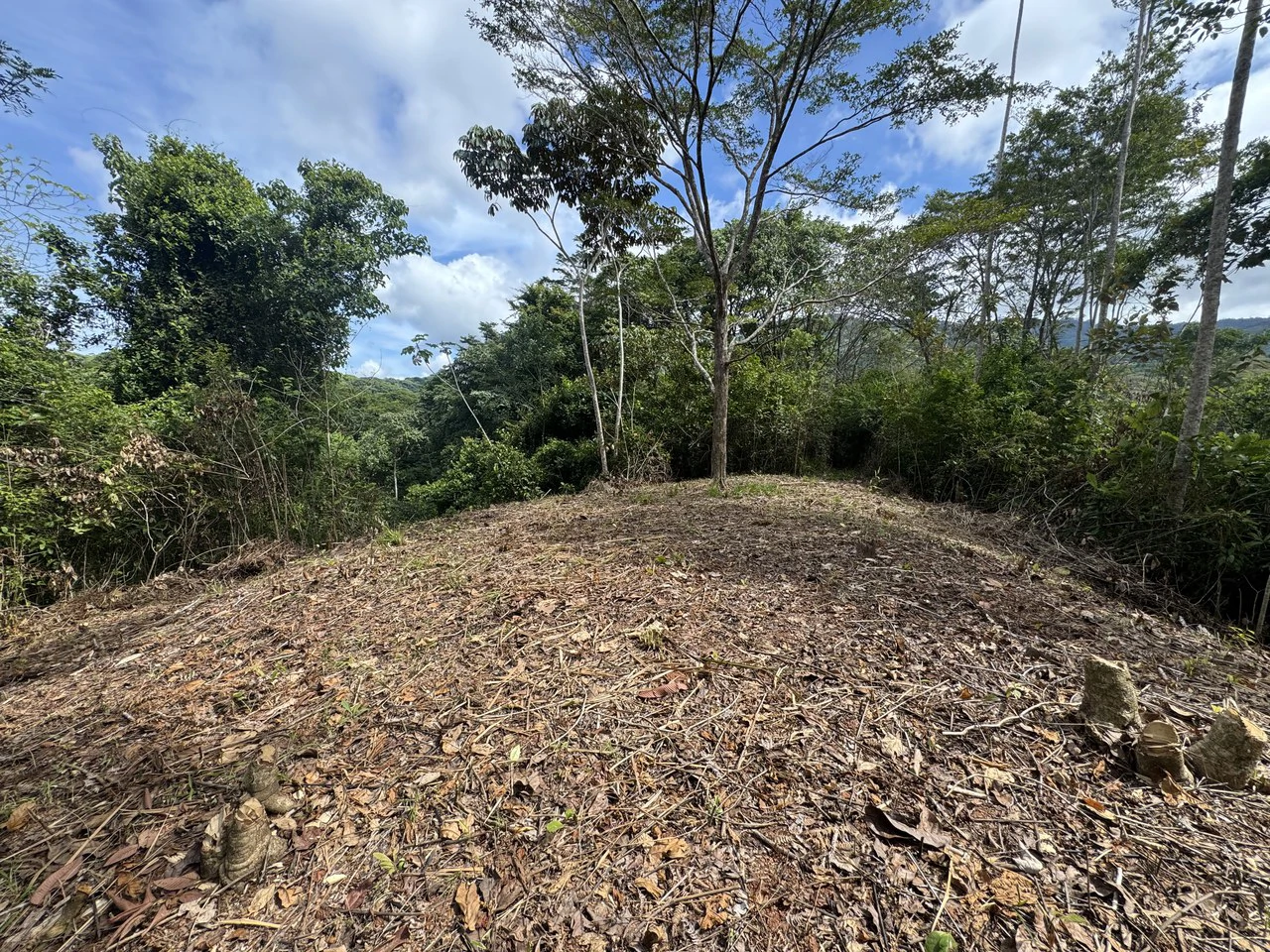 23.5 Acre Waterfall & Riverfront Estate Bahia Ballena Osa Peninsula - Gallery image 2