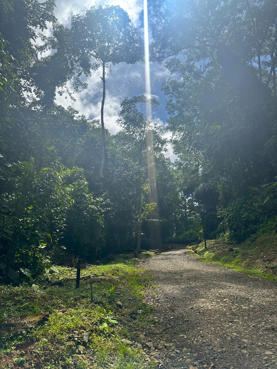 Mountain View Building Lot in Prestigious Gated Community With Private Waterfall & Two Building Sites: Mountain Home Construction Site For Sale in Portalon - Gallery image 30