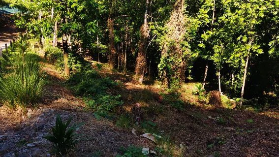 Near the Coast and Mountain Home Construction Site For Sale in Bahía Ballena - Gallery image 4