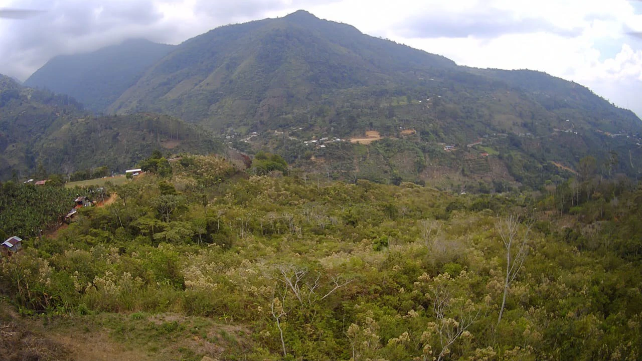 Mountain Paradise: Prime Lot for Sale in San Gerónimo: Mountain Paradise Prime Lot - Gallery image 5
