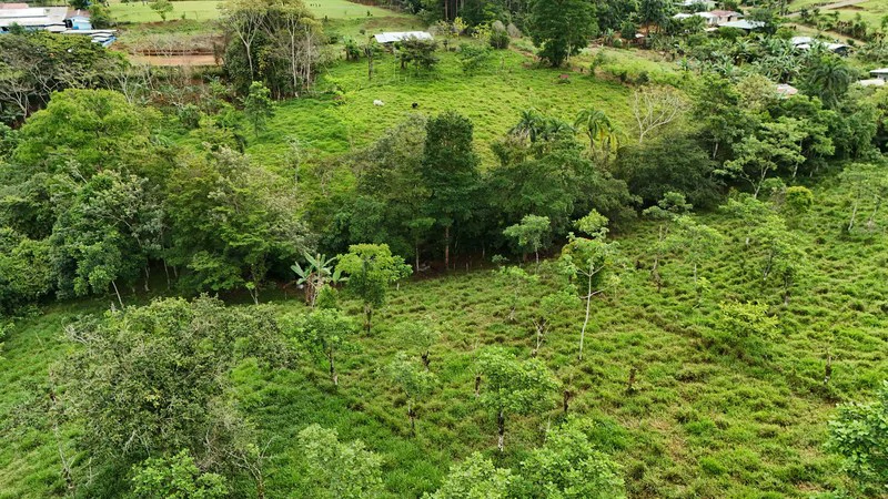 Lote en San Francisco de Cajon: Mountain Agricultural Land For Sale in San Francisco - Gallery image 2