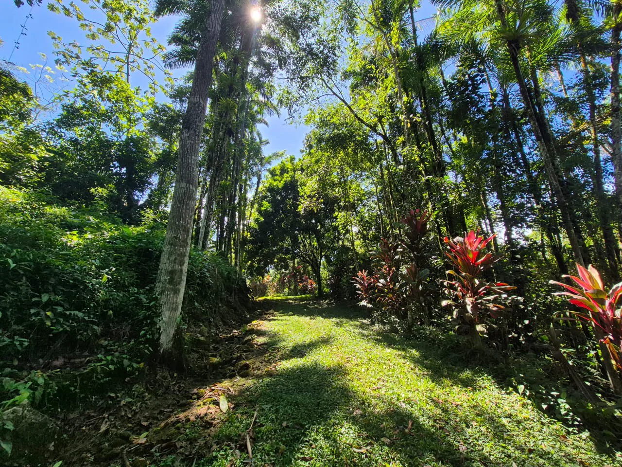 Mountain Home Construction Site For Sale in Centro de Pérez Zeledón - Gallery image 15