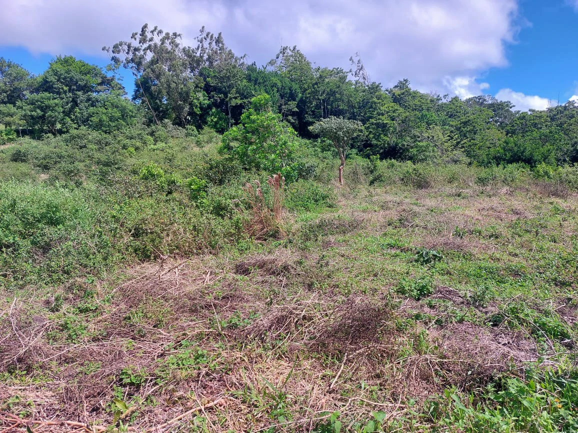 FINCA LA TEJONA - Gallery image 11