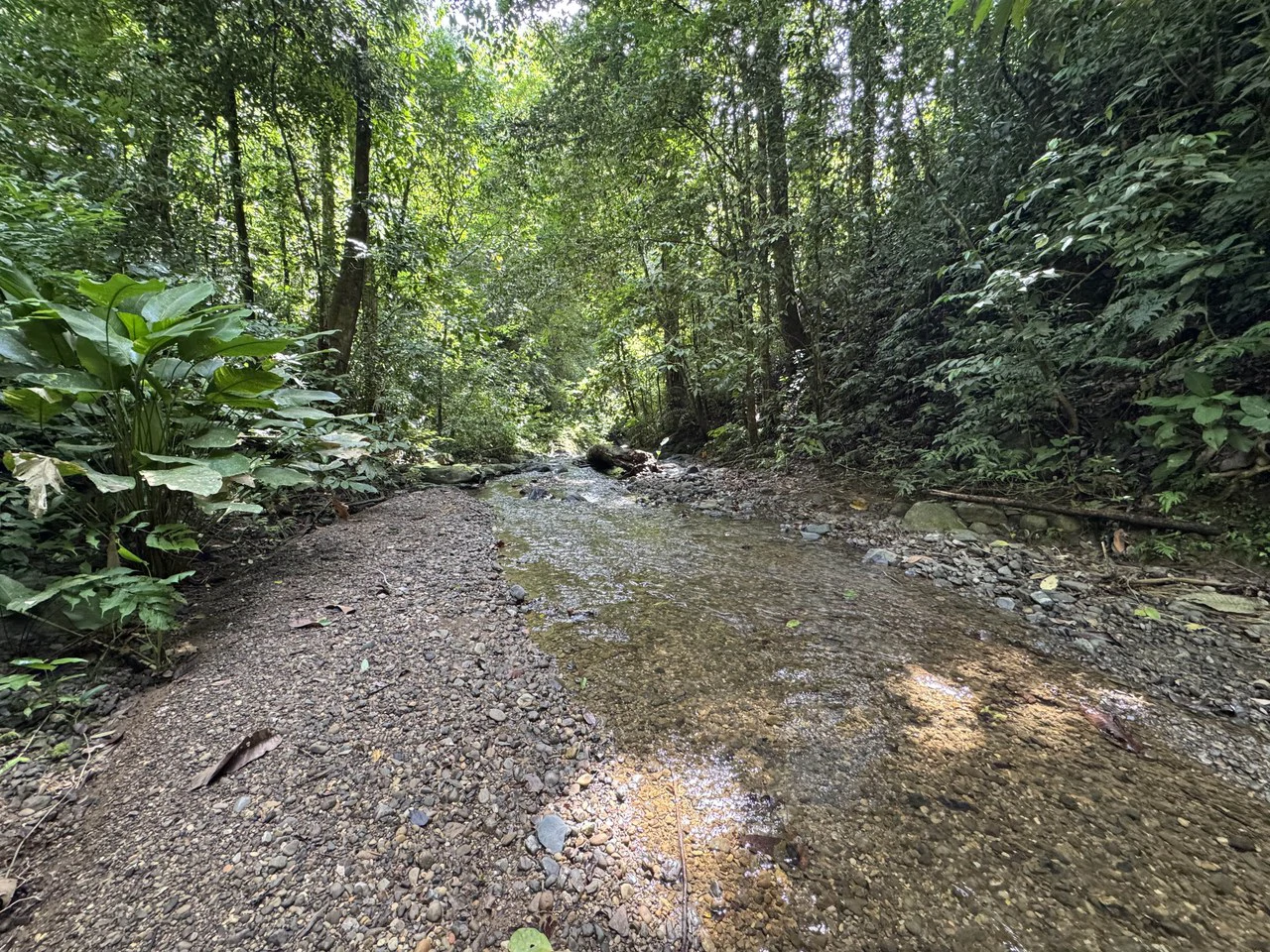 23.5 Acre Waterfall & Riverfront Estate Bahia Ballena Osa Peninsula - Gallery image 14