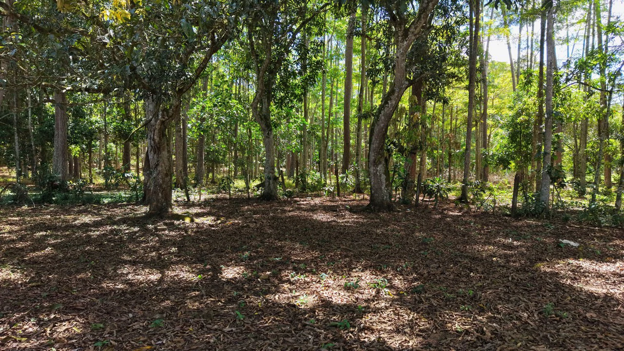 Home Construction Site For Sale in Río Nuevo