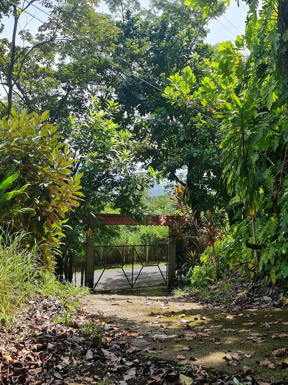 Near the Coast Agricultural Land For Sale in Orotina - Gallery image 3