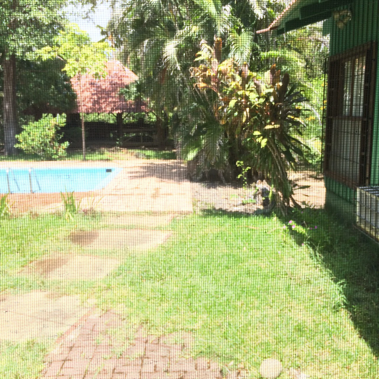COUNTRY SIDE HOUSE: Country house close to the center of Liberia - Gallery image 12