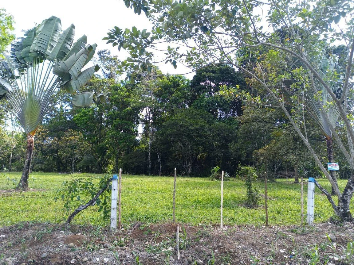 Beautiful Riverfront Lot in Chachagua – Ready to Build!