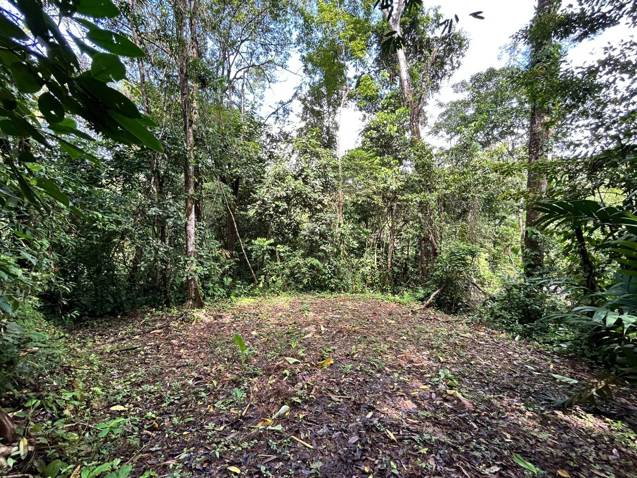 1.4-acre gated lot in Uvita - Gallery image 7