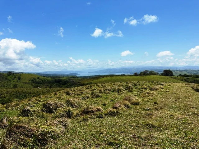 4.5 ha building land with fantastic lake view - Gallery image 4