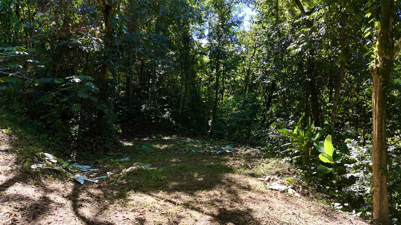 1.4-acre gated lot in Uvita - Gallery image 2