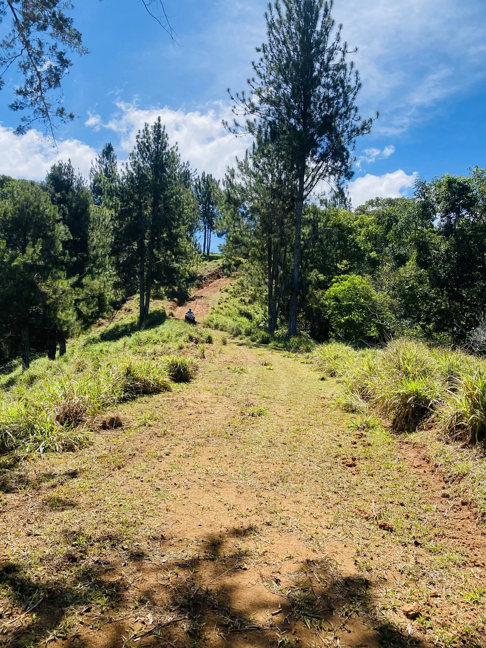 54 Acre Ranch in San Vito, Coto Brus - Gallery image 3