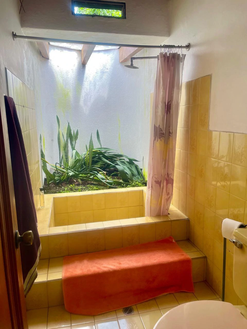House to Remodel with 1,700 sq m of Land in Pozos, Santa Ana - Gallery image 24