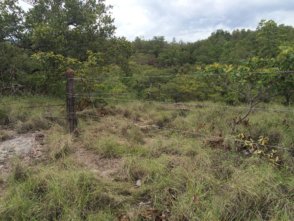 Finca grande: Economic Building property for sale in El Salto, with private access to the surrounding beautiful nature with own river - Gallery image 17