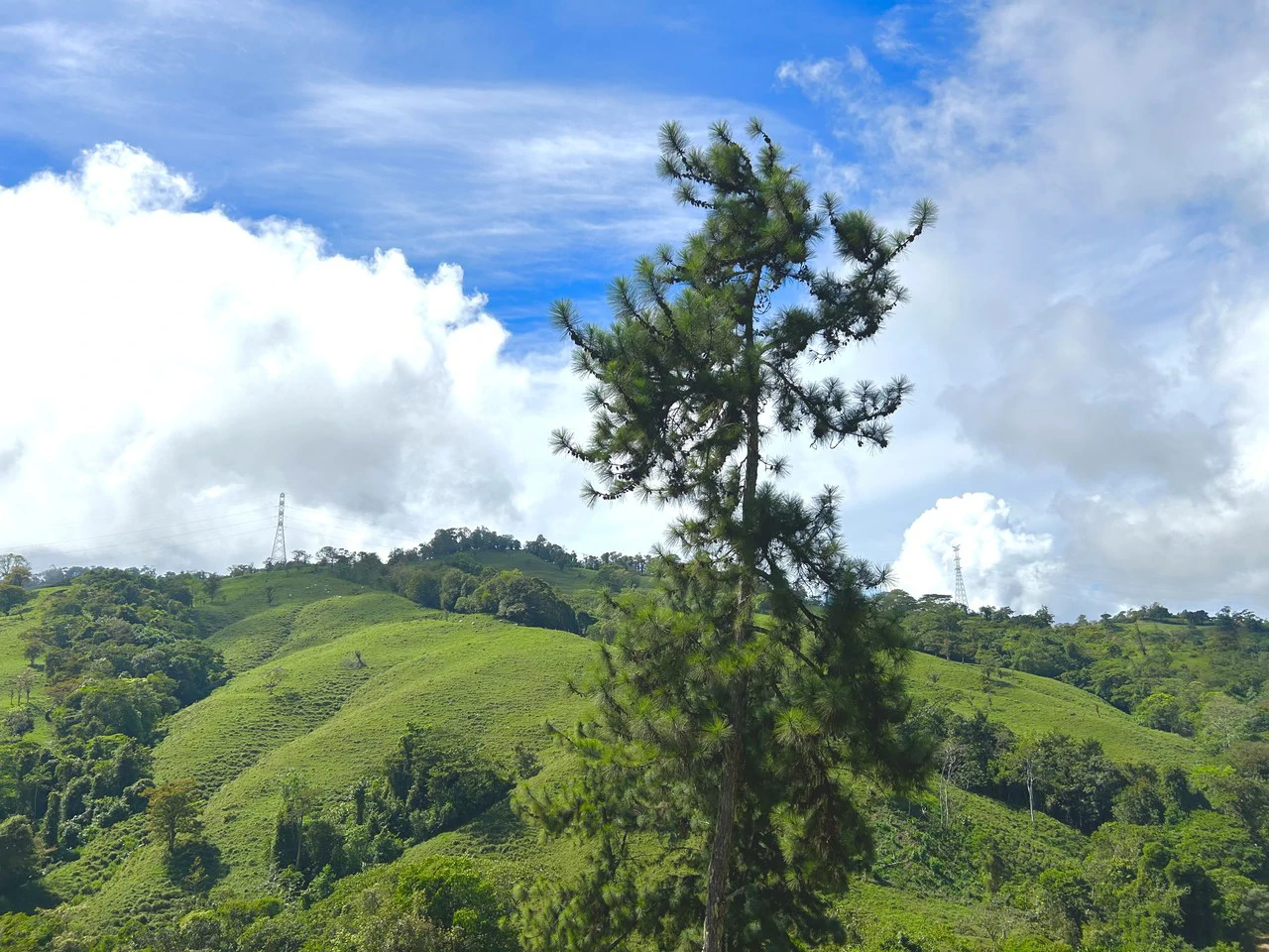 Finca Ceibo Memo: Mountain Home Construction Site For Sale in San Isidro del General - Gallery image 41