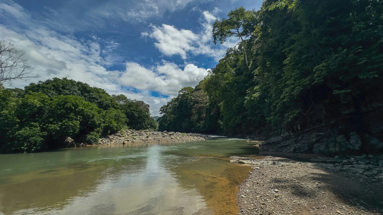 60+ Hectares in Platanillo | Own Your Own Mountain in Costa Rica - Gallery image 48