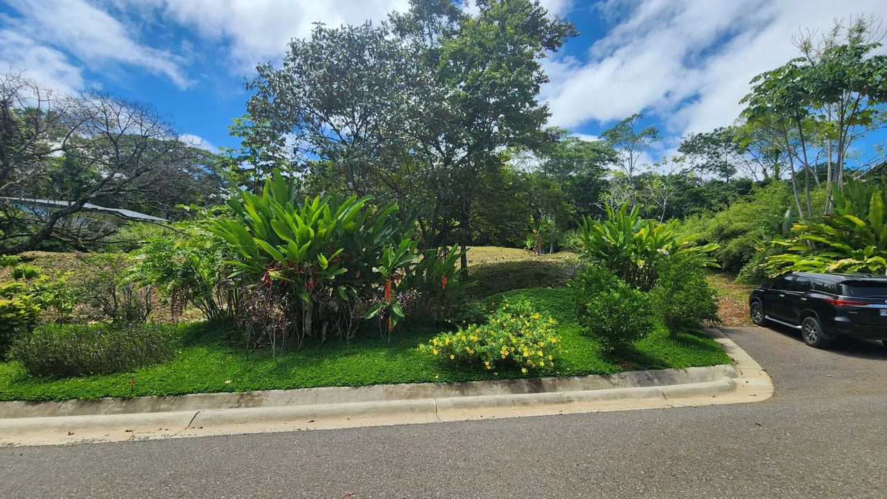1.25 ACRES – Stunning Ocean View Oasis: Exclusive Property With Premium Amenities!!!! - Gallery image 2