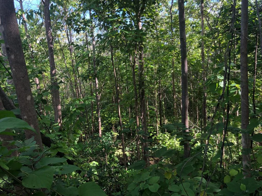 Ocean View Property with Panoramic Views on the Pacific Gold Coast – Guanacaste - Gallery image 19