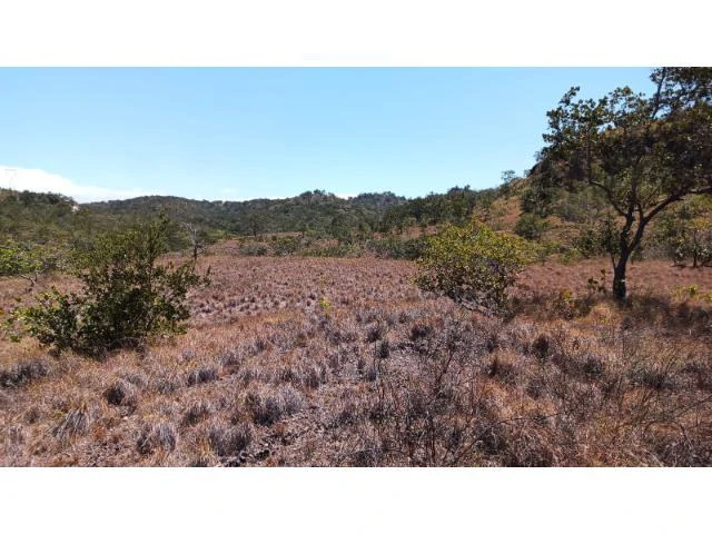 Huge Tico-Farm for sale with a big house in the mountains of Liberia, surrounded by nature and fantastic valley views - Gallery image 8