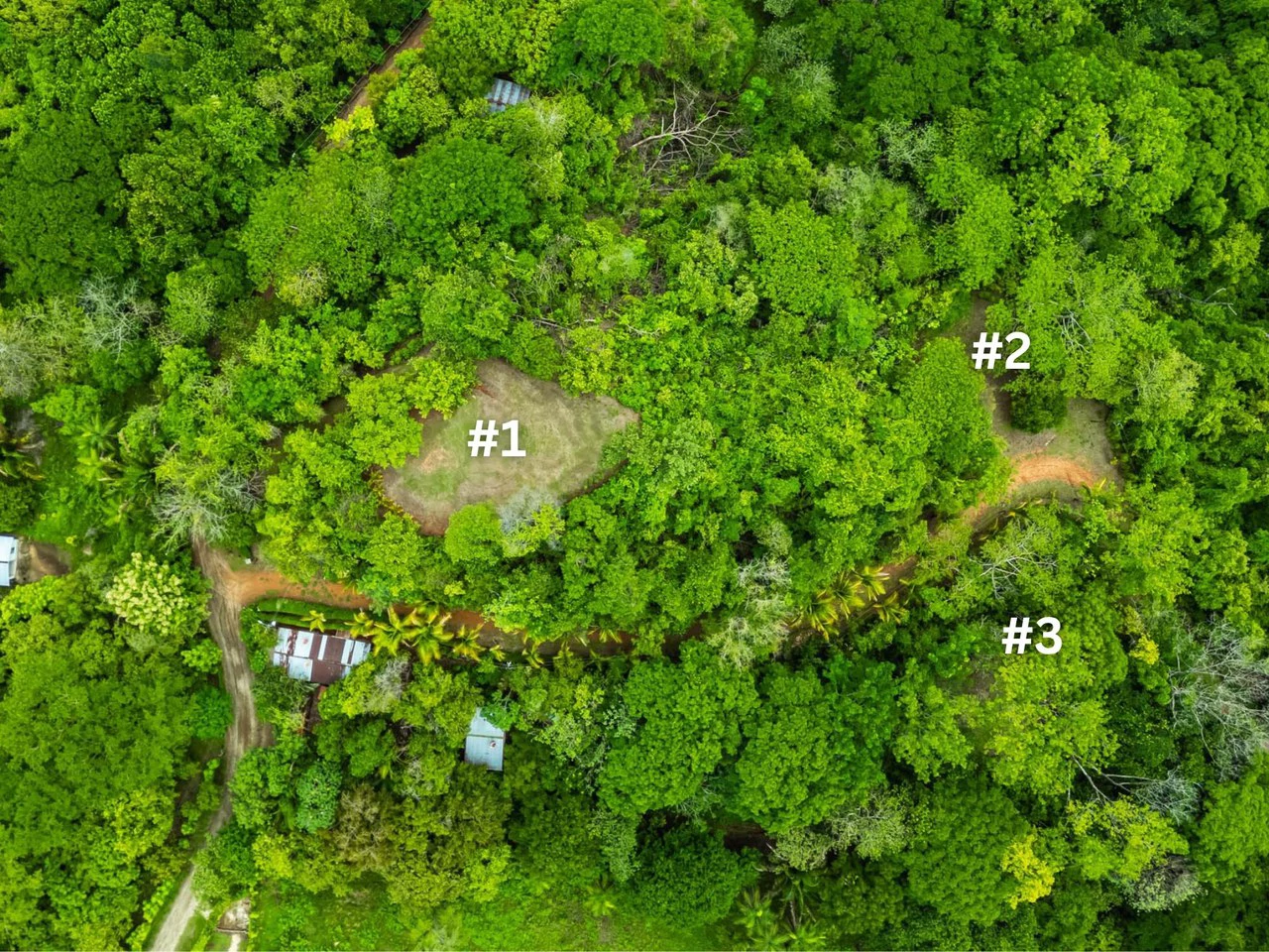The Refuge: Ecological Lots in Hojancha Blue Zone - photo 7