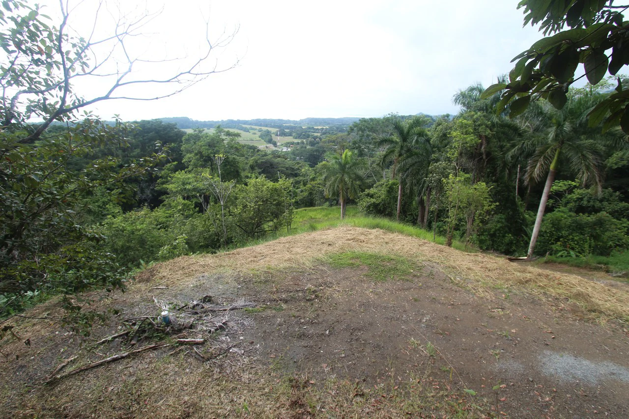 Whitewater Sunset Ocean View Lot Close to Dominical Beach - Gallery image 26