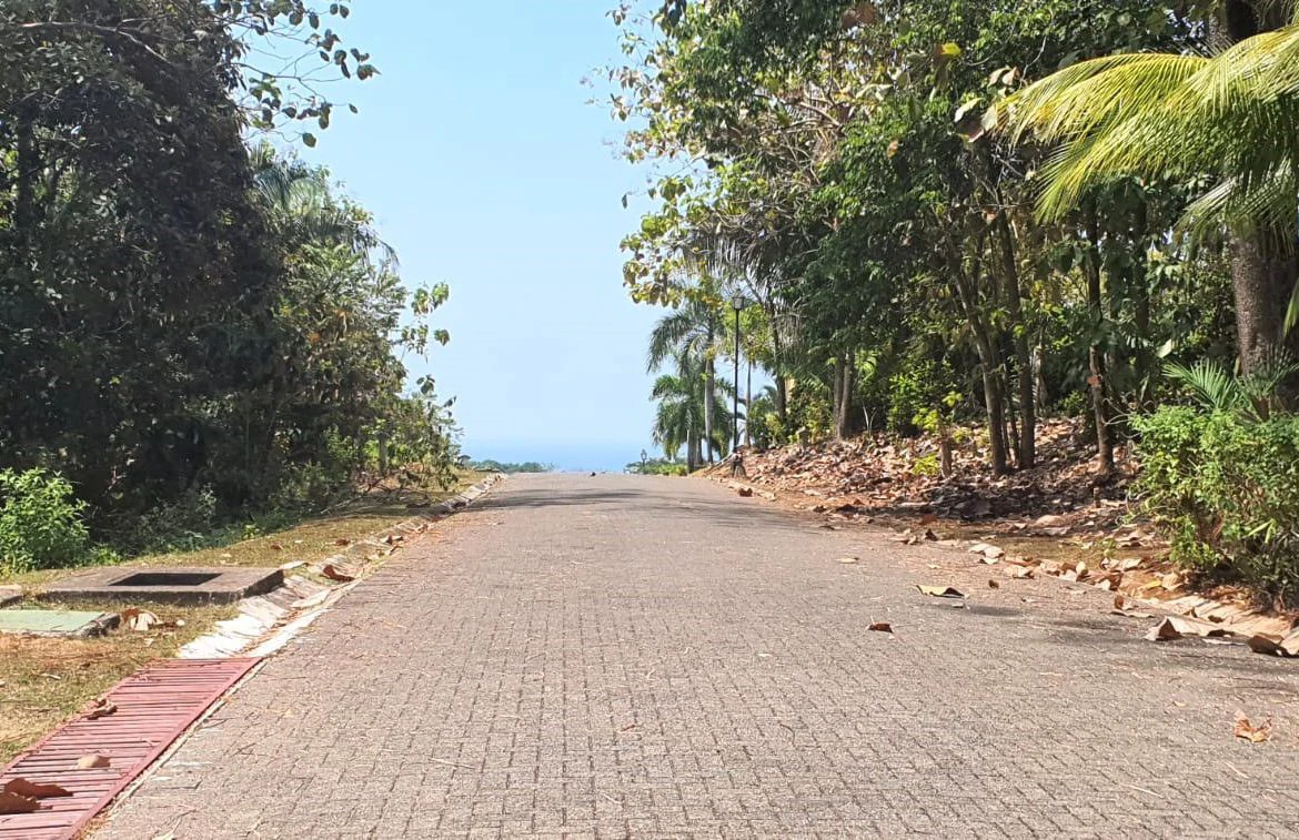 Home Construction Site For Sale in Esterillos - Gallery image 2