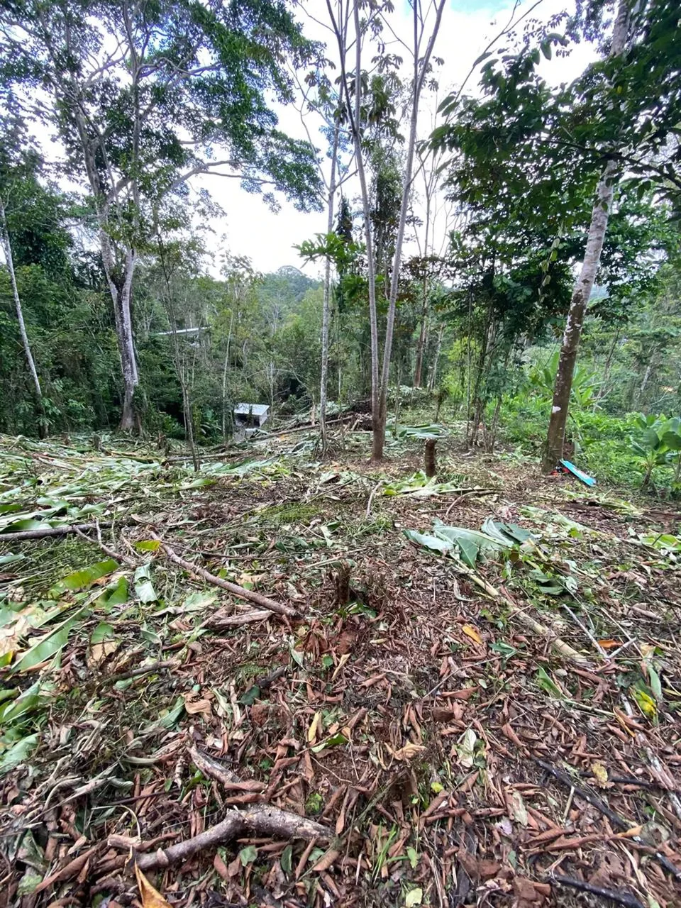 ID 1084: 5,500 sqm Lot with Mountain View in Iriria 1, Punta Uva - Gallery image 3