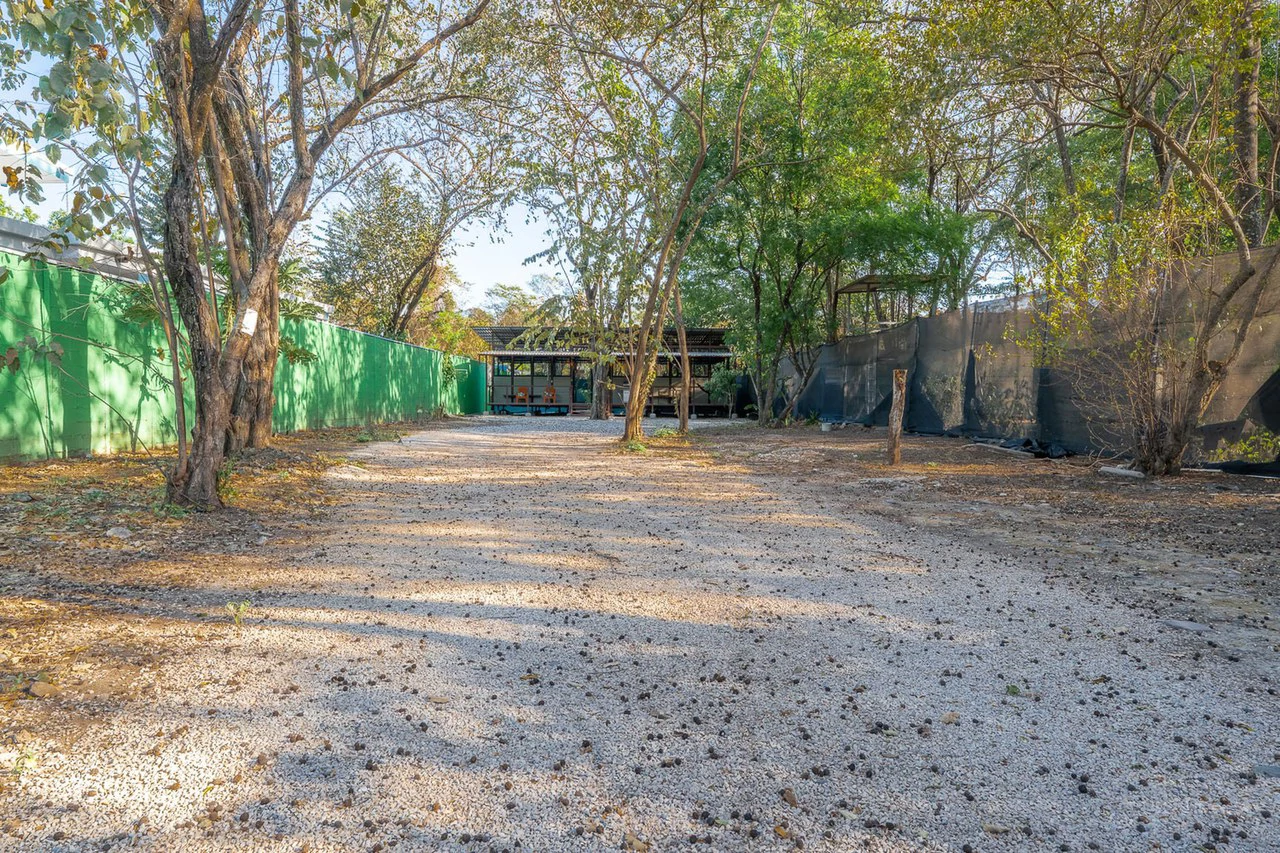 Casa Tranquila: Exceptional Value for a Prime Beachside Location - Gallery image 7