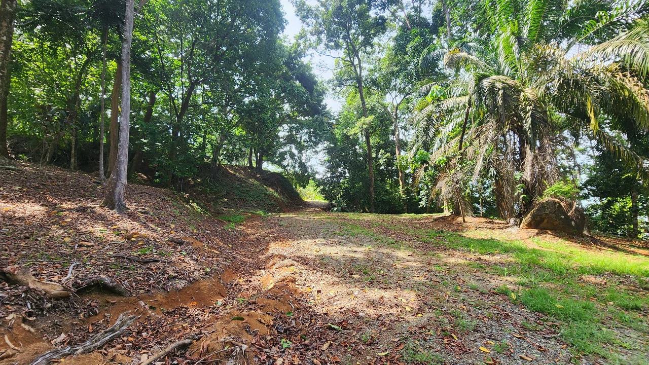 Villas Azul: Direct Beach Front Access in Uvita, 3 Villas, 2 Casitas, Development Land Piñuelas Beach, Uvita, Puntarenas, Costa Rica - Gallery image 77