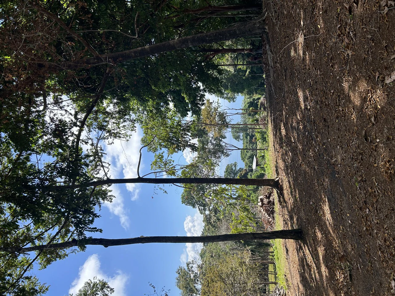 Cabo Matapalo:  3.8 Acre Ocean View Lot In Peninsula De Osa, Golfo Dulce - Gallery image 24