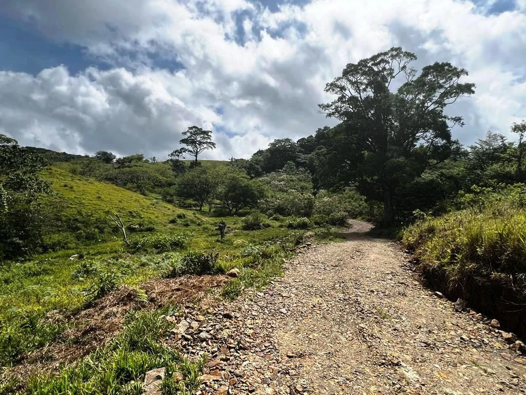 4.5 ha building land with fantastic lake view - Gallery image 7