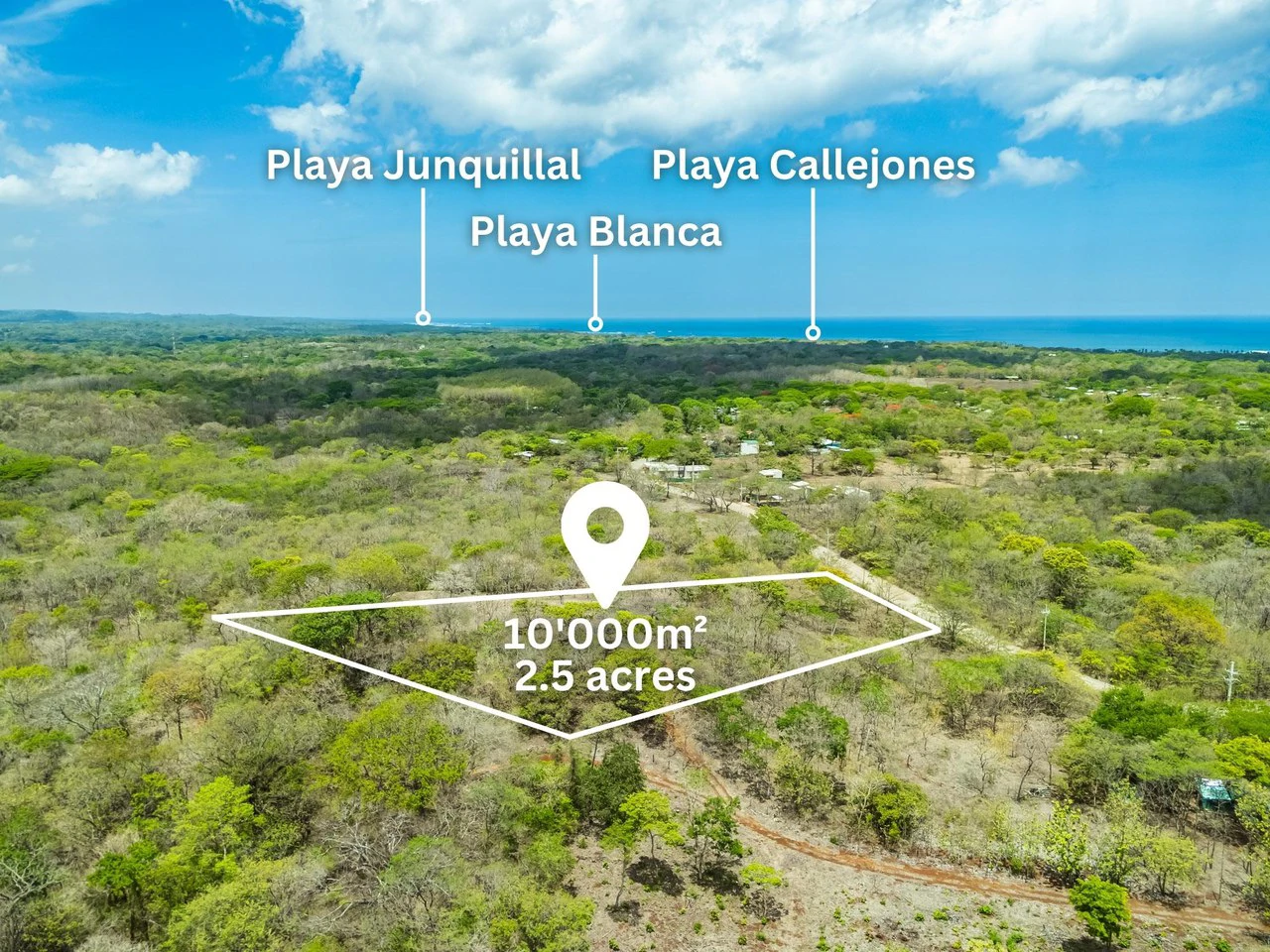 Pura Jungla Lots: Expansive Lots with Water Availability in Los Pargos - Gallery image 13