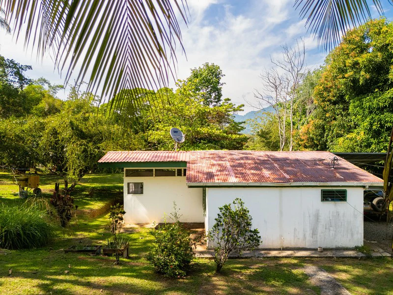 Ocean-View Oasis on Coveted Calle Perezoso - Gallery image 9