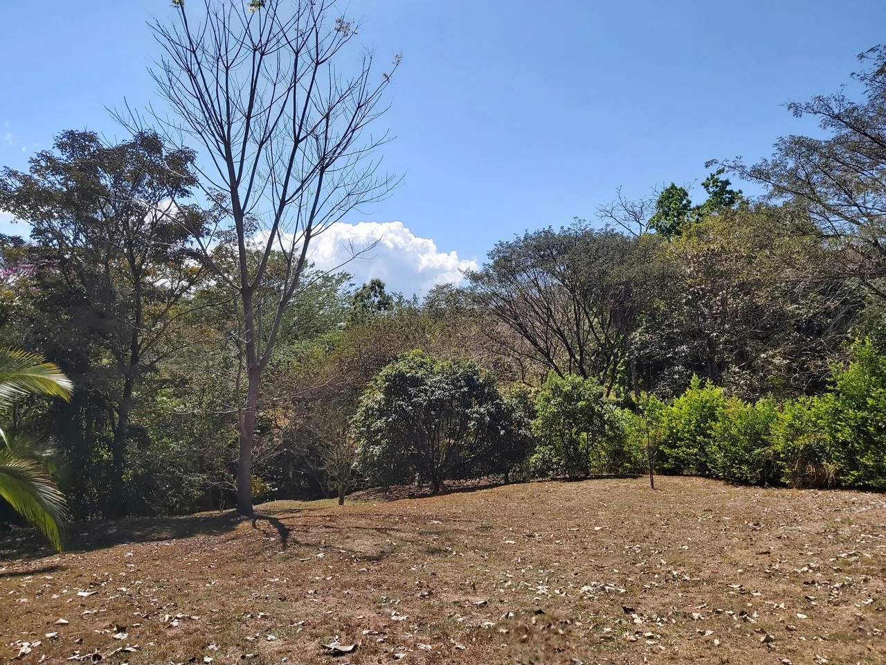 Countryside and Mountain Home Construction Site For Sale in San Juan de Mata - Gallery image 20