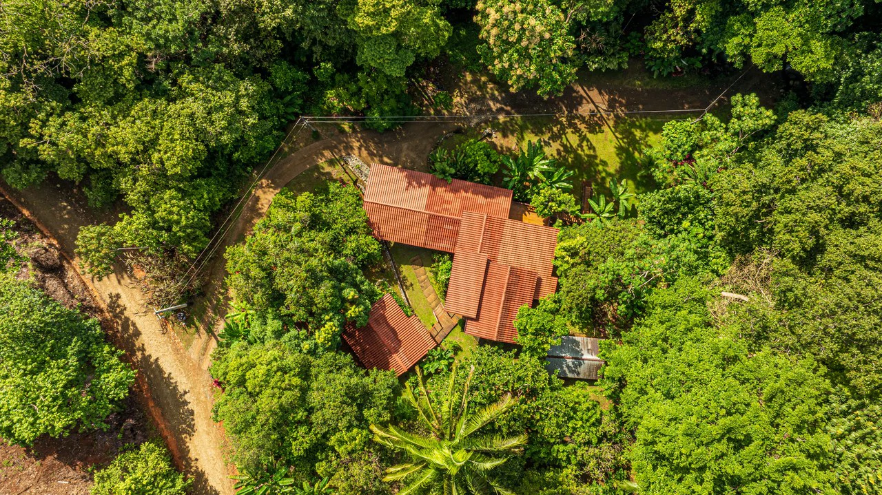A Jungle House Built of Wood & River Dreams - Gallery image 4