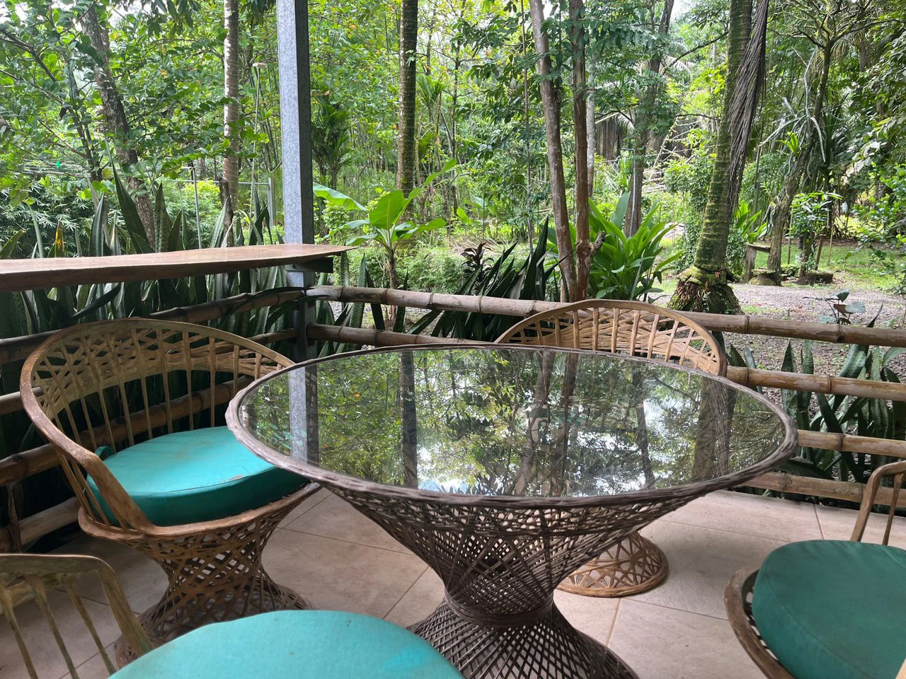 Perla Tropical Rio Seco: Great Opportunity for Sale with reduced price - Gallery image 3
